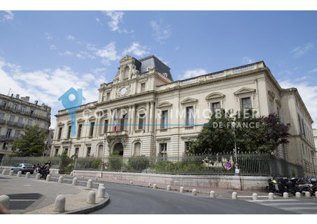 Mieszkanie na sprzedaż - Montpellier, Francja, 38 m², 167 132 USD (683 570 PLN), NET-101566974