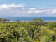 Dom na sprzedaż - Villa Mango Nosara, Kostaryka, 1250,01 m², 2 950 000 USD (11 623 000 PLN), NET-97101507
