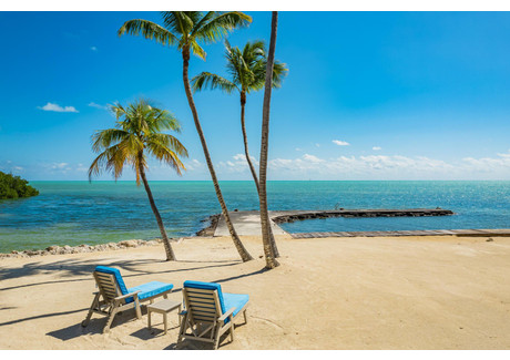 Dom na sprzedaż - 80459 Old Highway Islamorada, Usa, 219,07 m², 4 695 000 USD (18 028 800 PLN), NET-98117453