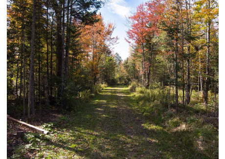 Działka na sprzedaż - 1931 Ch. Gendron, Brompton/Rock Forest/Saint-Élie/Deauville, QC J1R0J6 Brompton/rock Forest/saint-Élie/deauville, Kanada, 105 492 m², 578 982 USD (2 223 290 PLN), NET-92417074