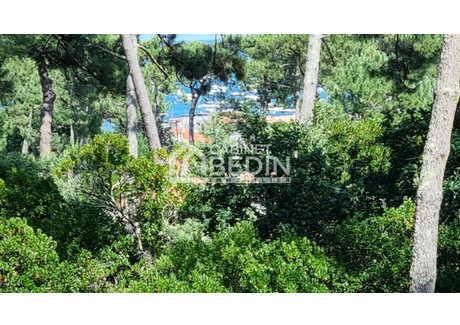 Dom na sprzedaż - Lege Cap Ferret, Francja, 150,4 m², 1 653 932 USD (6 731 504 PLN), NET-101336558