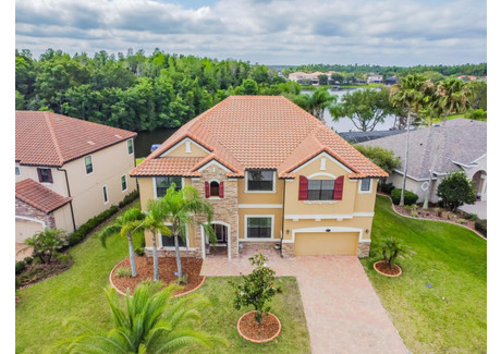 Dom na sprzedaż - 10739 Cory Lake Drive Tampa, Usa, 506,51 m², 1 200 000 USD (4 728 000 PLN), NET-97101030