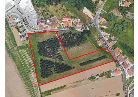 Działka na sprzedaż - Ílhavo (São Salvador), Portugalia, 19 900 m², 463 530 USD (1 923 651 PLN), NET-96118118