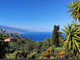 Mieszkanie na sprzedaż - Santa Cruz De Tenerife, Hiszpania, 475 m², 1 195 352 USD (4 709 687 PLN), NET-96056959