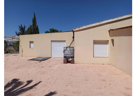 Dom na sprzedaż - Elche/elx, Hiszpania, 248 m², 163 567 USD (665 719 PLN), NET-100842681