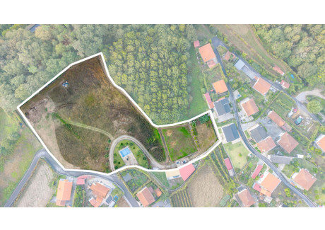 Działka na sprzedaż - Travassos, Portugalia, 10 100 m², 207 790 USD (851 941 PLN), NET-100972978