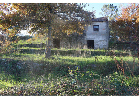 Działka na sprzedaż - Rio De Loba, Portugalia, 19 600 m², 249 549 USD (1 035 629 PLN), NET-101655619