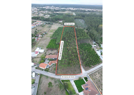 Działka na sprzedaż - Maceira, Portugalia, 13 730 m², 111 124 USD (435 604 PLN), NET-100877668