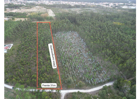 Działka na sprzedaż - Maceira, Portugalia, 9275 m², 35 190 USD (144 279 PLN), NET-100877669