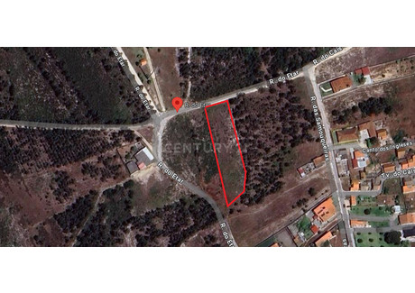 Działka na sprzedaż - Vieira De Leiria, Portugalia, 2000 m², 15 419 USD (63 990 PLN), NET-97670278