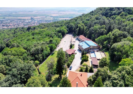 Komercyjne na sprzedaż - с. Арбанаси/s. Arbanasi Велико Търново/veliko-Tarnovo, Bułgaria, 2874 m², 1 039 595 USD (4 179 174 PLN), NET-98912826