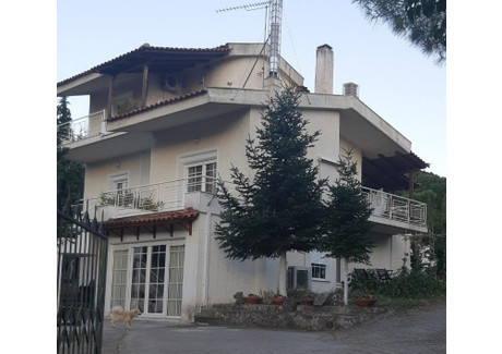 Dom na sprzedaż - Unnamed Road Livadia, Grecja, 200 m², 322 133 USD (1 236 992 PLN), NET-66438682