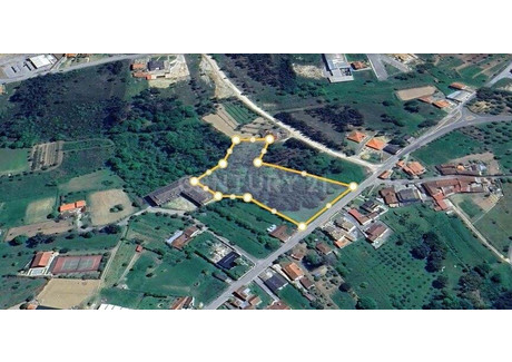 Działka na sprzedaż - Poiares (Santo André), Portugalia, 6650 m², 85 226 USD (349 427 PLN), NET-99486221