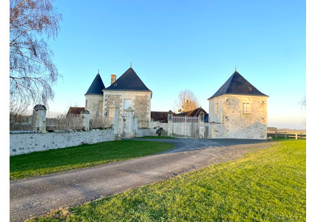 Dom na sprzedaż - Loches, Francja, 400 m², 834 866 USD (3 272 674 PLN), NET-94902270