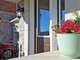 Dom na sprzedaż - 260 Silk Twist Dr East Gwillimbury, Kanada, 139,35 m², 862 887 USD (3 468 807 PLN), NET-96968694